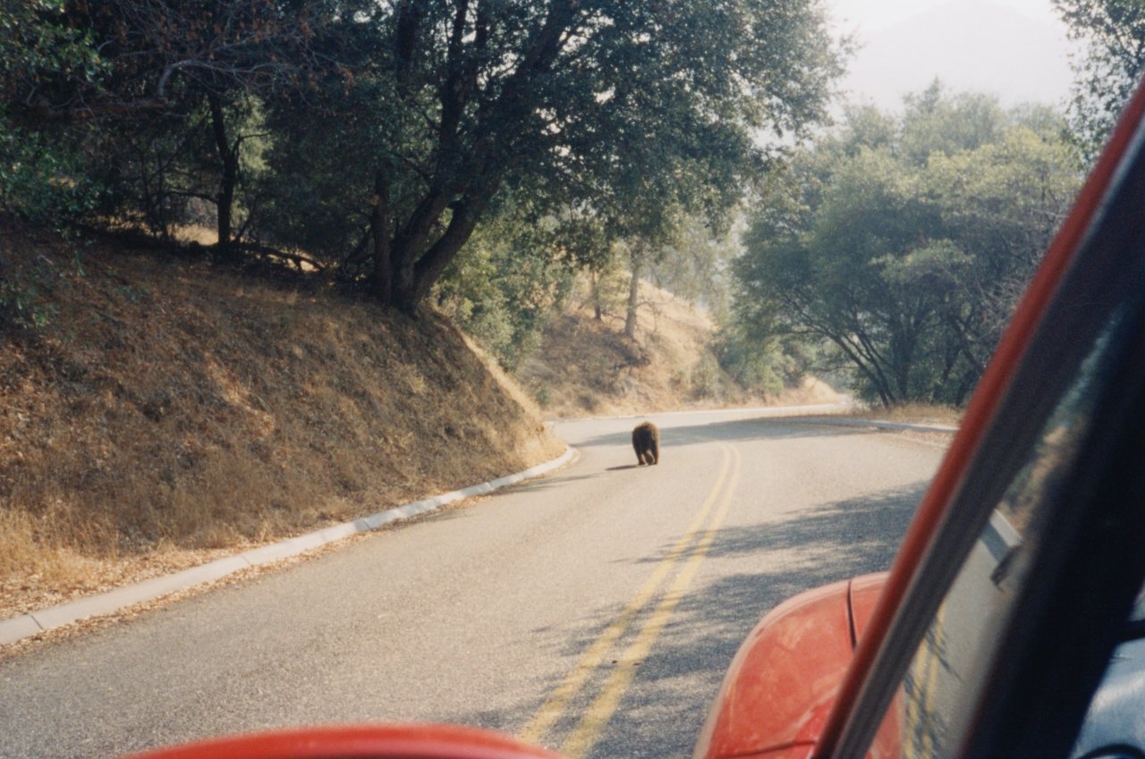 AandM and bear friend in Yosemite Dec 2002 2